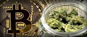 Bitcoin & Cannabis