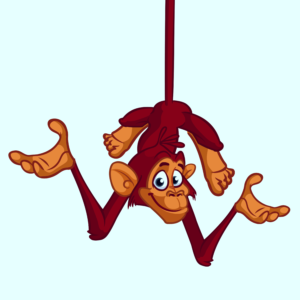 predictions chimp
