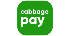 US FinTech Startup CabbagePay Set to Redefine the Way Money Flows