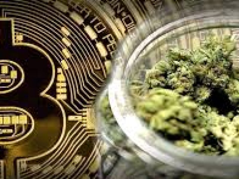 how and why you use bitcoins to buy weed