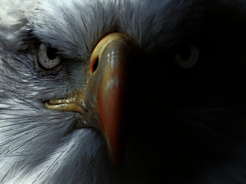 fintech eagle vision money 20/20