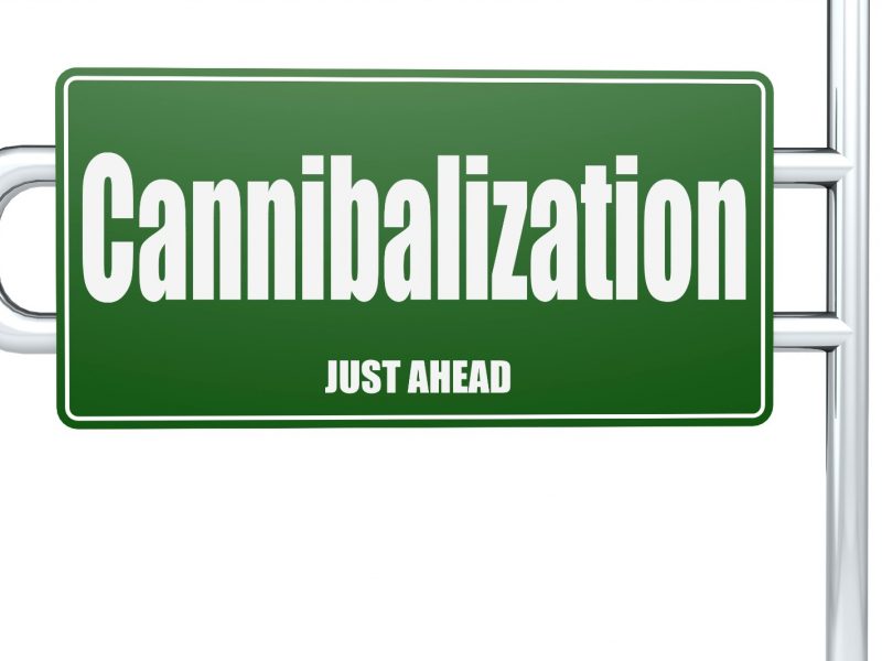 Fintech Cannibalization