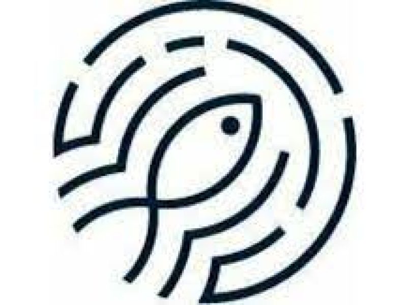 Sardine Raises 51.5m for Fintech Fraud Platform Wellesley Hills Financial