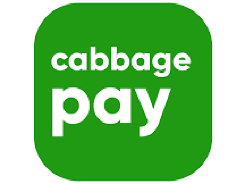 US FinTech Startup CabbagePay Set to Redefine the Way Money Flows