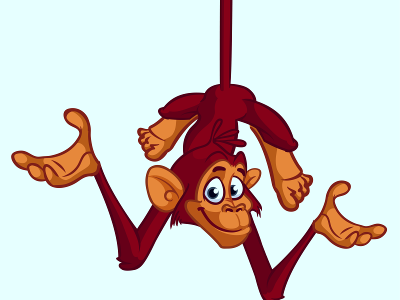 predictions chimp