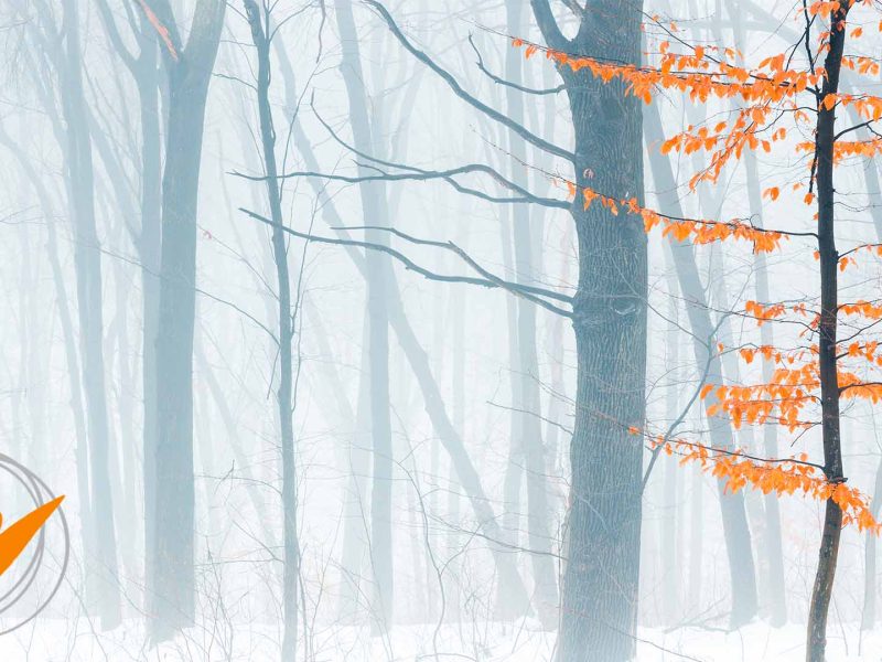 thawing orange sm